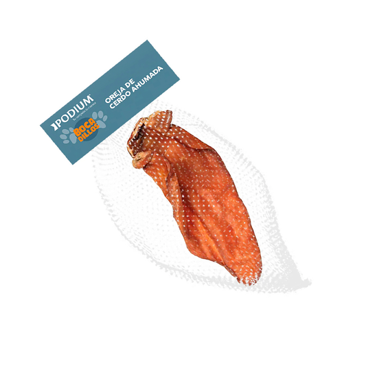 Oreja de cerdo para canes podium bocadillos | Mascotas Sofía al Paso